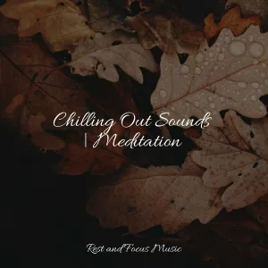 Happy Baby Lullaby Collection, Zarobi, Brain Study Music Guys - Sounds of Clarity