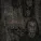 FIMS - Nineoneone