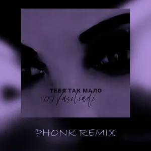 DJ Vasiliadi - Тебя так мало (Phonk Remix)