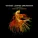 Vintage Lounge Orchestra feat. Alessandro Pitoni - I've Been Waiting for a Girl Like You