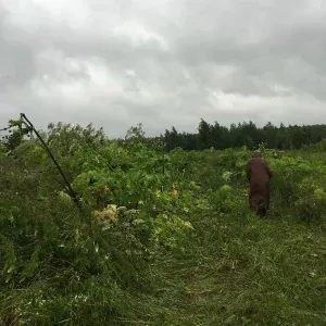 ЭПП - Эндемик