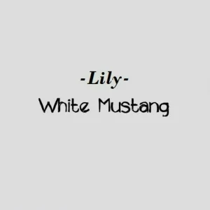 Lily - White Mustang
