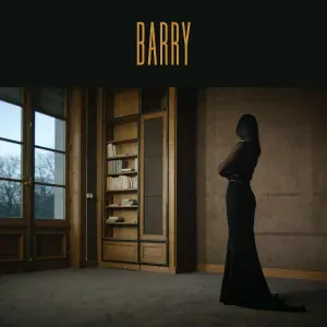 Barry - Mon amour, mon ami