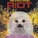RIOT - Fire Down Under