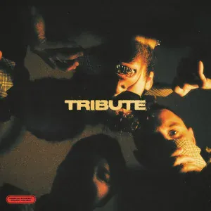 SAPA13 feat. НЕДРЫ - TRIBUTE (feat. НЕДРЫ)