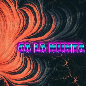 Tomis Junior - LA NUNTA DE MOLDOVENI