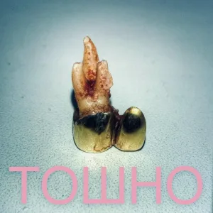 ТОШНО - Температура