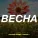 Русский Размер, Dmitrii G - Весна