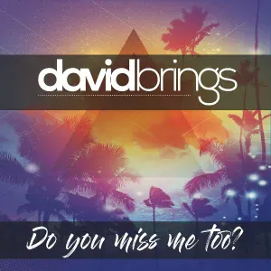 david brings - Do You Miss Me Too?