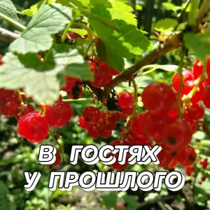 Сергей Грищук - В гостях у прошлого