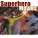 Hollywood Pictures Orchestra - Batman