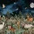 Julian Cross Collective - Empty Spirit Howls of the Night