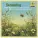 Violin Ensemble of the Bolshoi Theatre, Moscow, Julij Rejentowitsch, Irina Saizewa - Shostakovich: Romance - music from the film "Die Pferdebremse" - Arr. G. Saborow