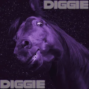 SOWYOL - DIGGIE DIGGIE