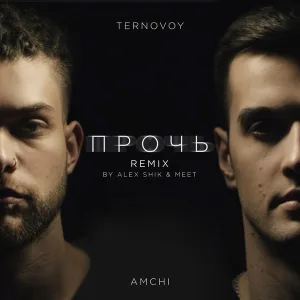 AMCHI, TERRY - Прочь
