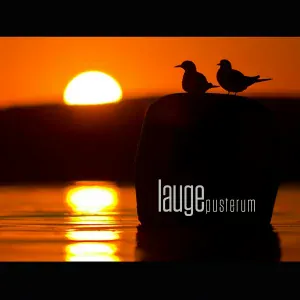 Lauge - Skyer