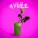 Ayree - Aldama júrek
