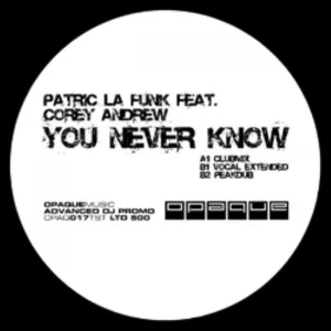 Patric la Funk feat. Corey Andrew - You never know