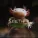 Seether - Safe To Say I've Had Enough