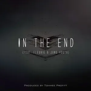 Tommee Profitt - In The End