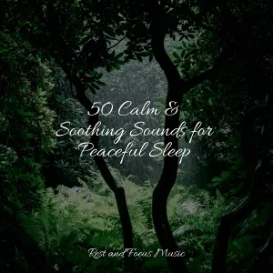 Música Relaxante, Relaxing Nature Music, Sleep Sounds of Nature - Sound of Love