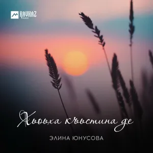 Элина Юнусова - Хьоьха къьстина де