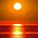 Краски, MXKENTOSH - Orange Sun
