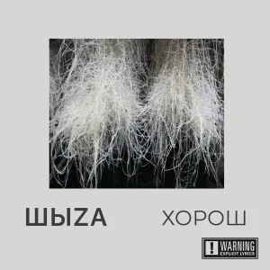 ШыZa - Поверь моим словам