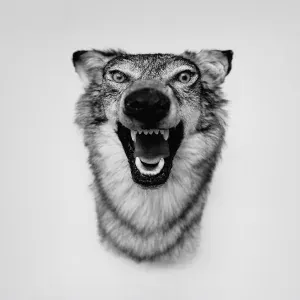 Yelawolf - Box Chevy V