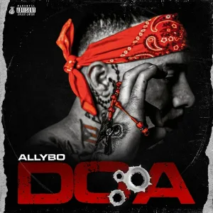 AllyBo feat. Lil Ally - Just Like Him