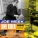 Mike Berry feat. The Admirals - It's Just a Matter of Time (feat. The Admirals)
