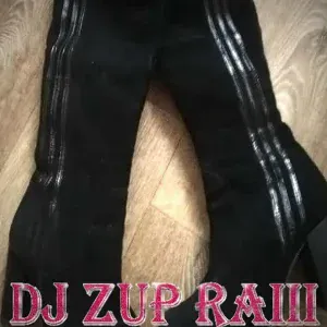 DJ ZUP RAlii - Модель (Model)