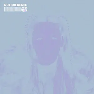 Chrystal, NOTION - The Days