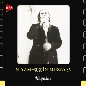 Niyaməddin Musayev - Neynim