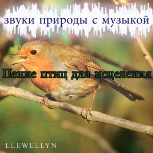 Llewellyn - Пение птиц для исцеления: звуки природы