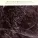 Cocteau Twins, Harold Budd - Memory Gongs