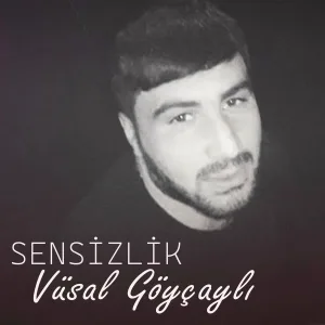 Vüsal Göyçaylı - Sensizlik