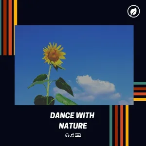 Nature Sounds - Answer