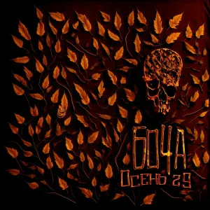 Бо4а - Осень 29