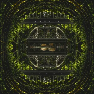 Monoir & Osaka feat. Brianna - The Violin Song (Dj Antonio & Astero Remix)
