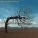 Biffy Clyro - Biblical