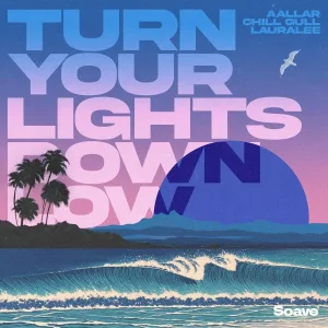 AALLAR, Chill Gull, LauraLee - Turn Your Lights Down Low