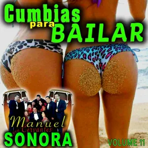 Manuel Cervantes y Su Sonora - La Botella