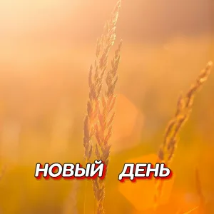 Гравитация - НОВЫЙ ДЕНЬ