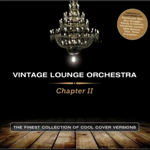 Vintage Lounge Orchestra - Lotta Love
