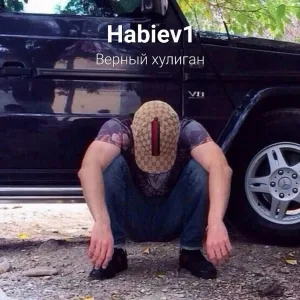 Habiev1 - Верный хулиган