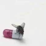 Red Hot Chili Peppers - Give It Away