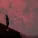 ЧВ - In the Dark