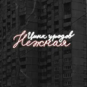 ЦИНК УРОДОВ - Нежная