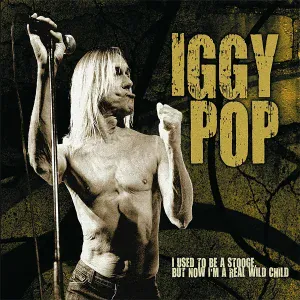 Iggy Pop - I Wanna Be Your Dog (Live)